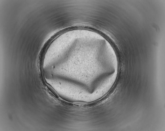 X0000111871022200908131607