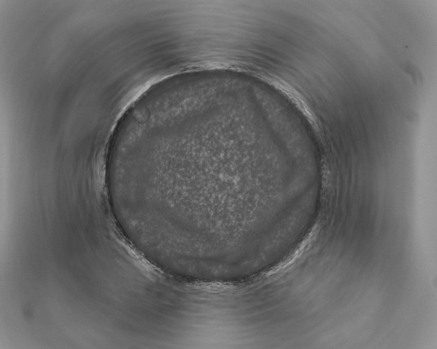 X0000111871023200908131607