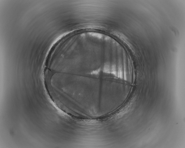 X0000111871024200908131607