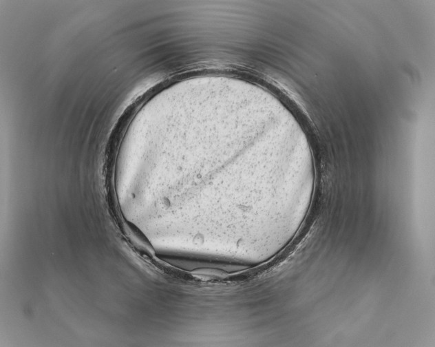 X0000111871026200908131607