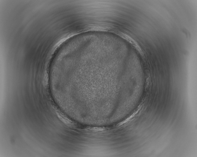 X0000111871027200908131607