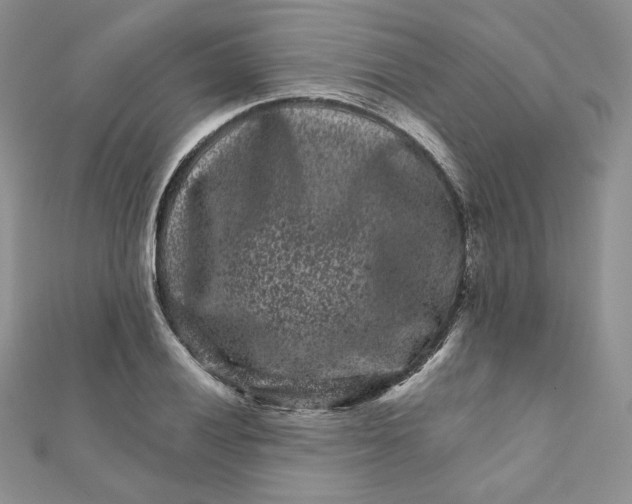 X0000111871028200908131607