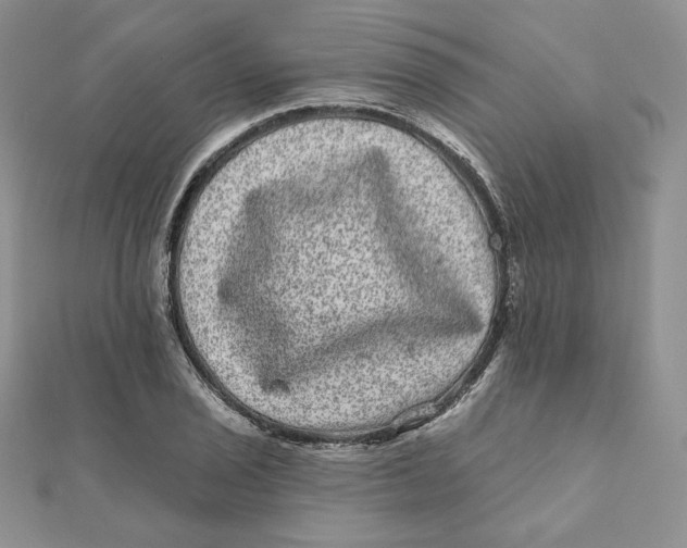 X0000111871029200908131607