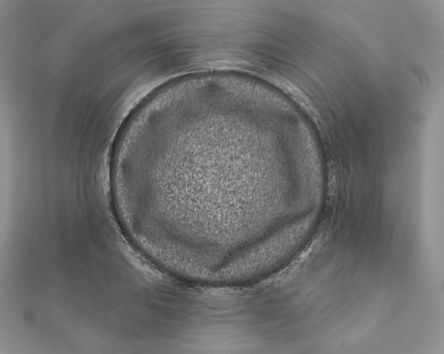 X0000111871031200908131607