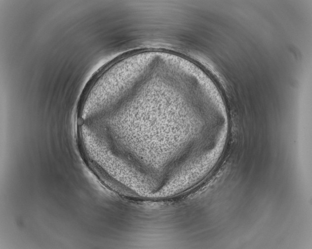 X0000111871032200908131607