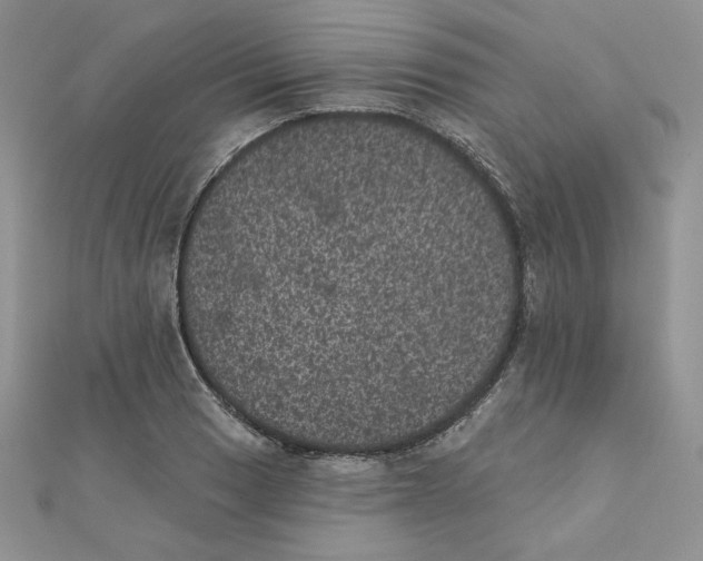 X0000111871033200908131607