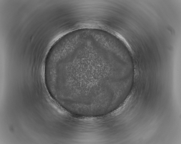 X0000111871035200908131607