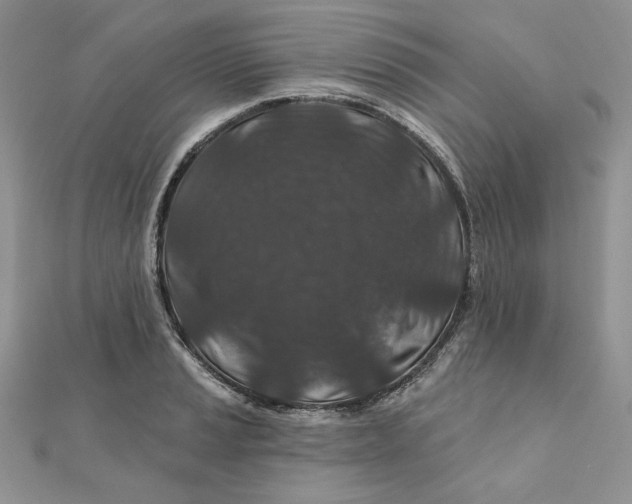 X0000111871037200908131607