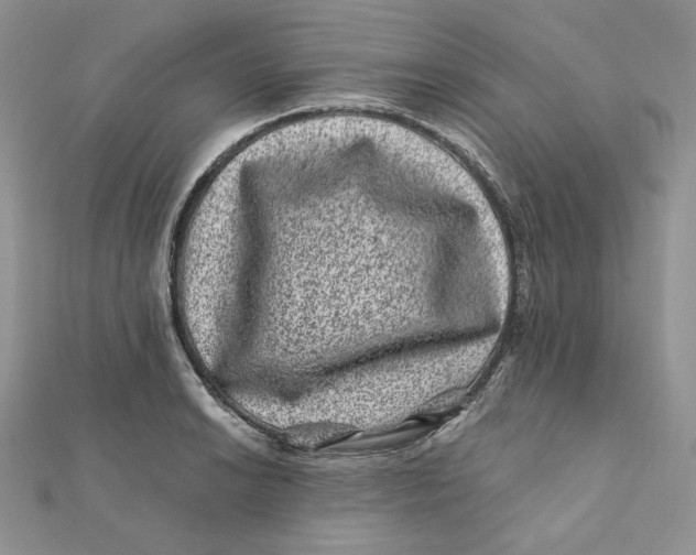 X0000111871038200908131607