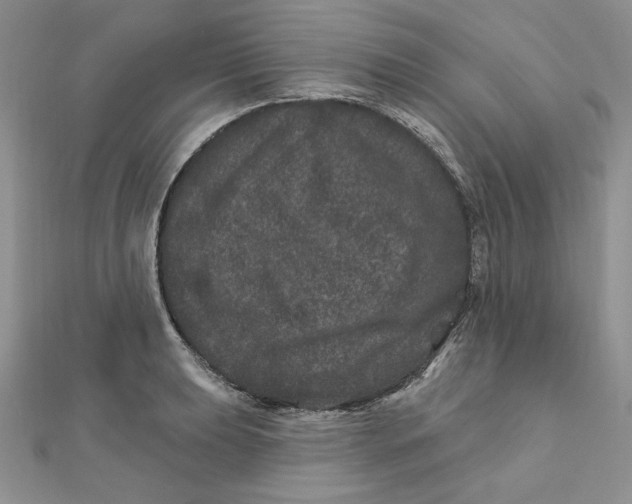 X0000111871039200908131607