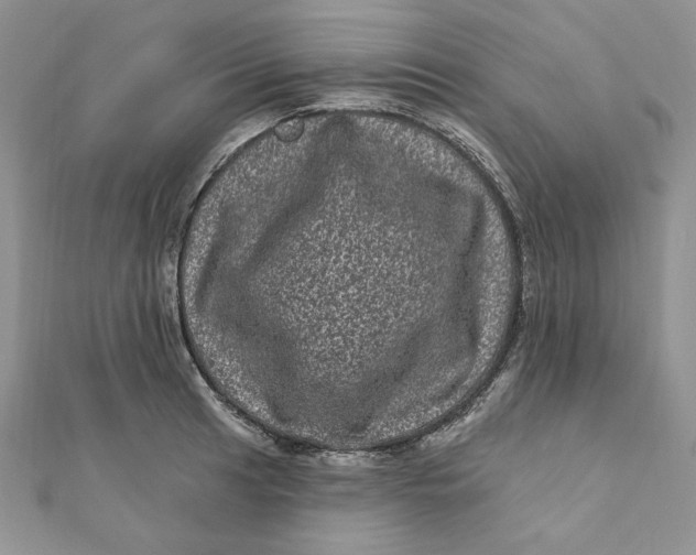 X0000111871041200908131607