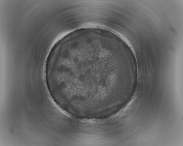 X0000111871045200908131607