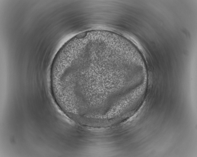 X0000111871048200908131607