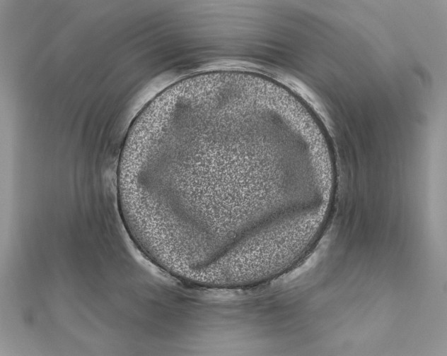 X0000111871049200908131607