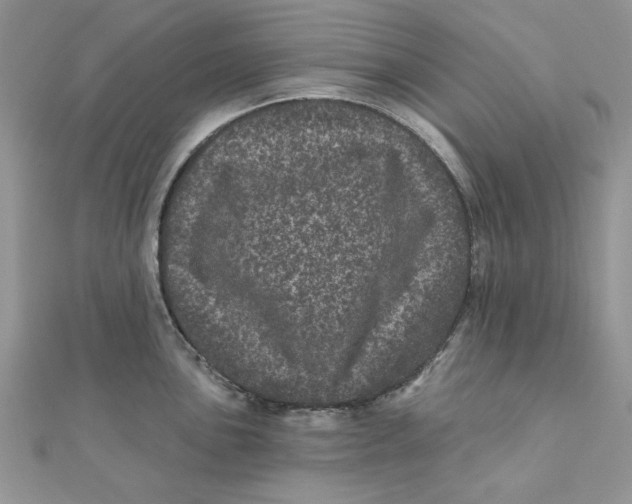 X0000111871051200908131608