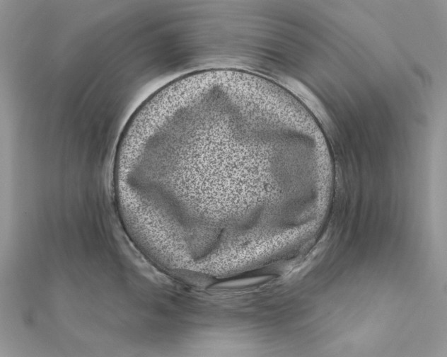 X0000111871052200908131608