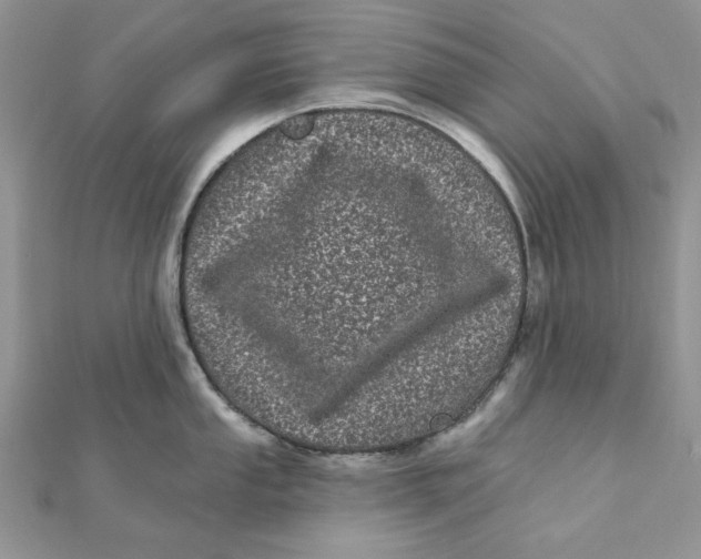 X0000111871053200908131608