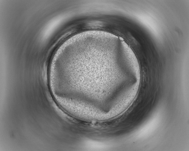 X0000111871054200908131608