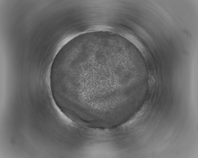 X0000111871055200908131608