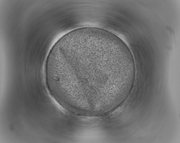 X0000111871056200908131608