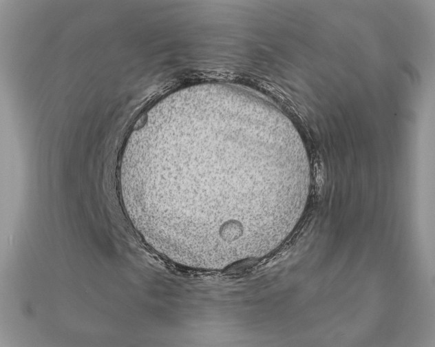 X0000111871057200908131607