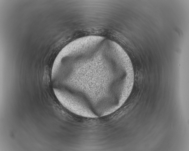 X0000111871058200908131607