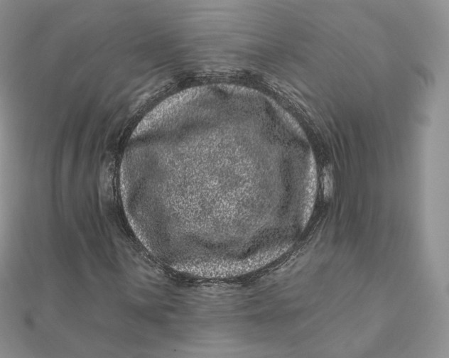 X0000111871059200908131607