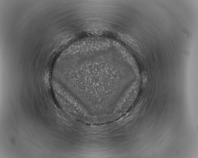 X0000111871060200908131607