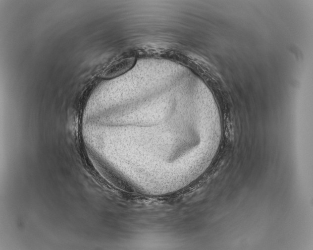 X0000111871061200908131607