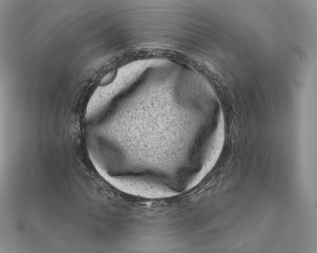 X0000111871062200908131607