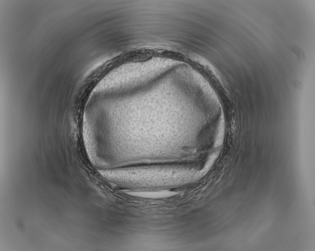 X0000111871064200908131607