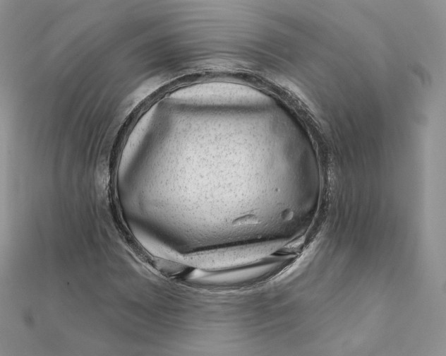 X0000111871065200908131607