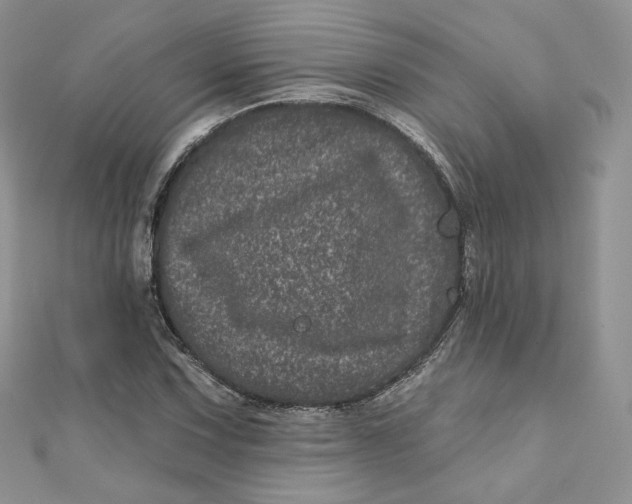 X0000111871067200908131607