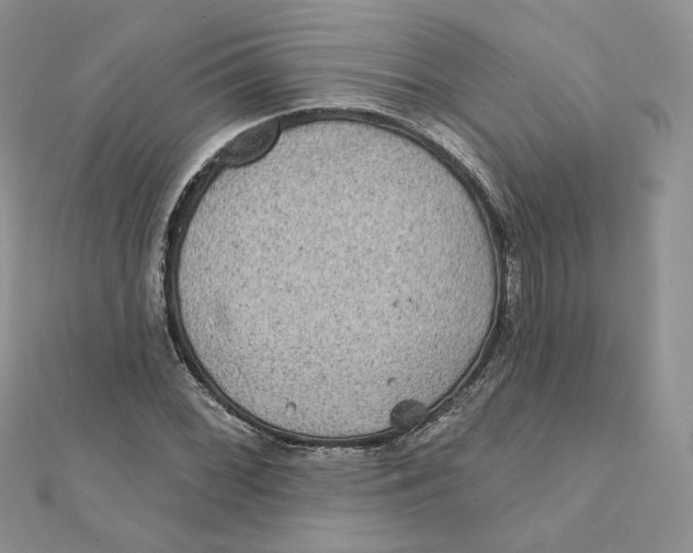 X0000111871068200908131607