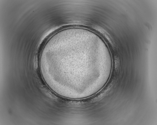 X0000111871069200908131607