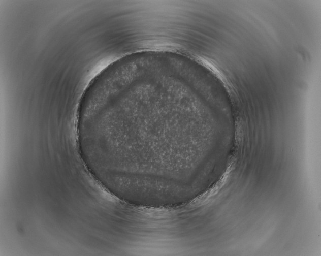 X0000111871071200908131607