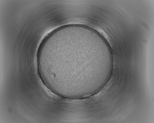 X0000111871072200908131607