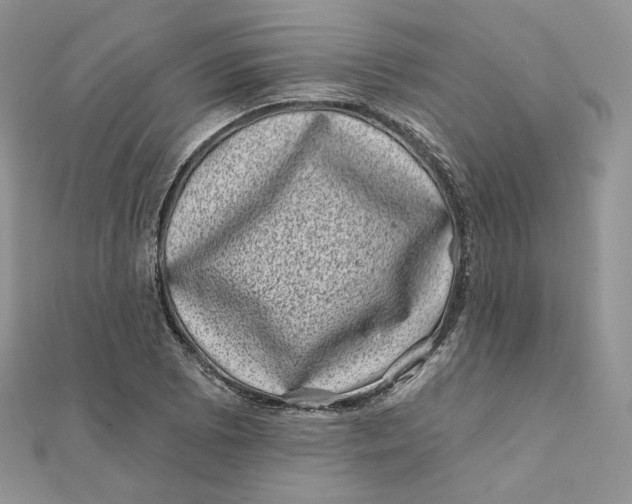 X0000111871073200908131607