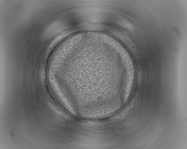 X0000111871074200908131607