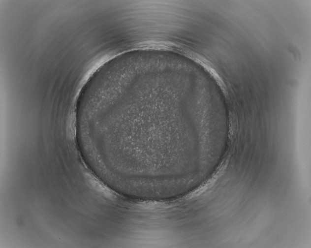 X0000111871075200908131607