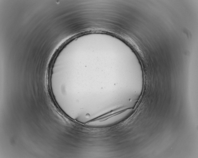 X0000111871076200908131607