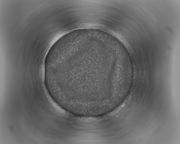 X0000111871079200908131607