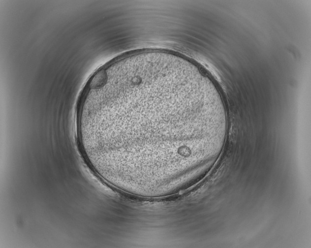 X0000111871080200908131607