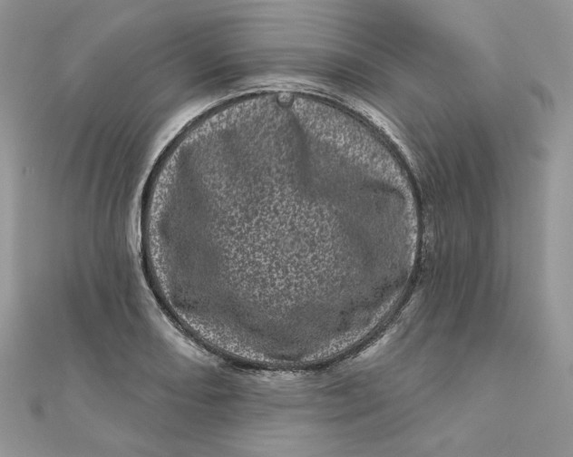 X0000111871082200908131607