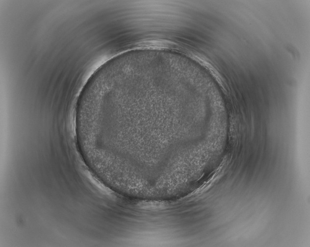 X0000111871083200908131607