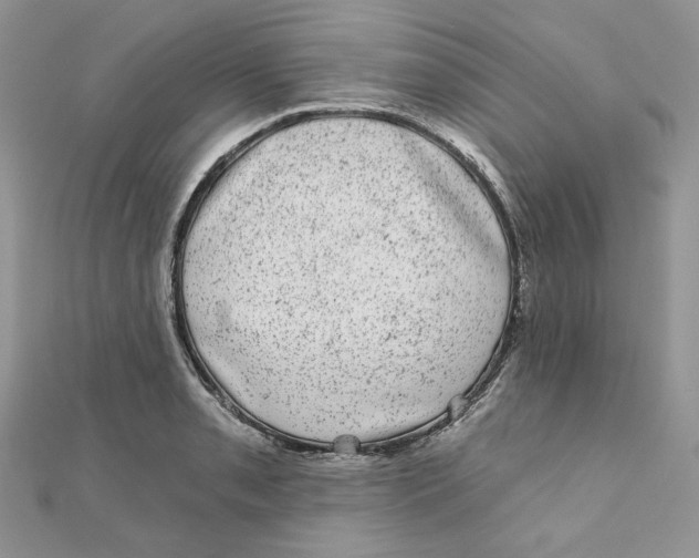 X0000111871085200908131607