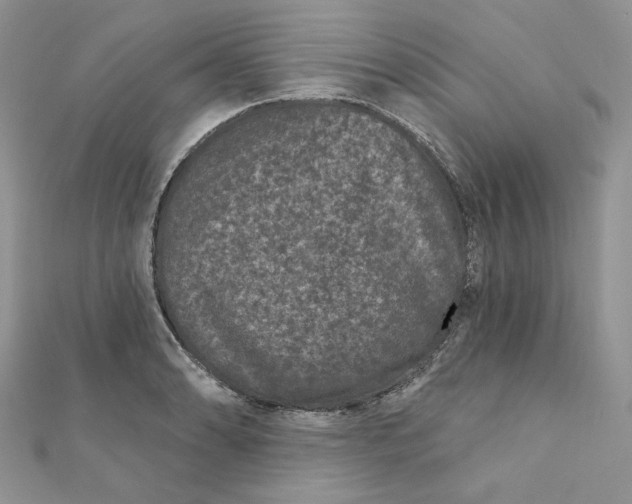 X0000111871086200908131606