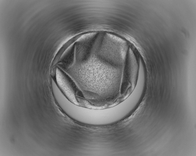 X0000111871089200908131606