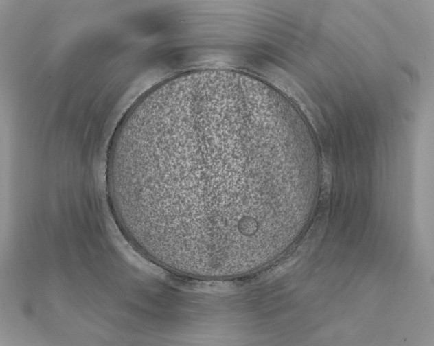 X0000111871090200908131606