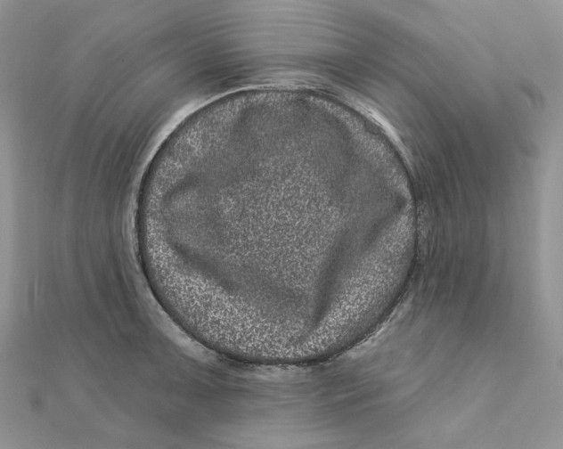 X0000111871091200908131606